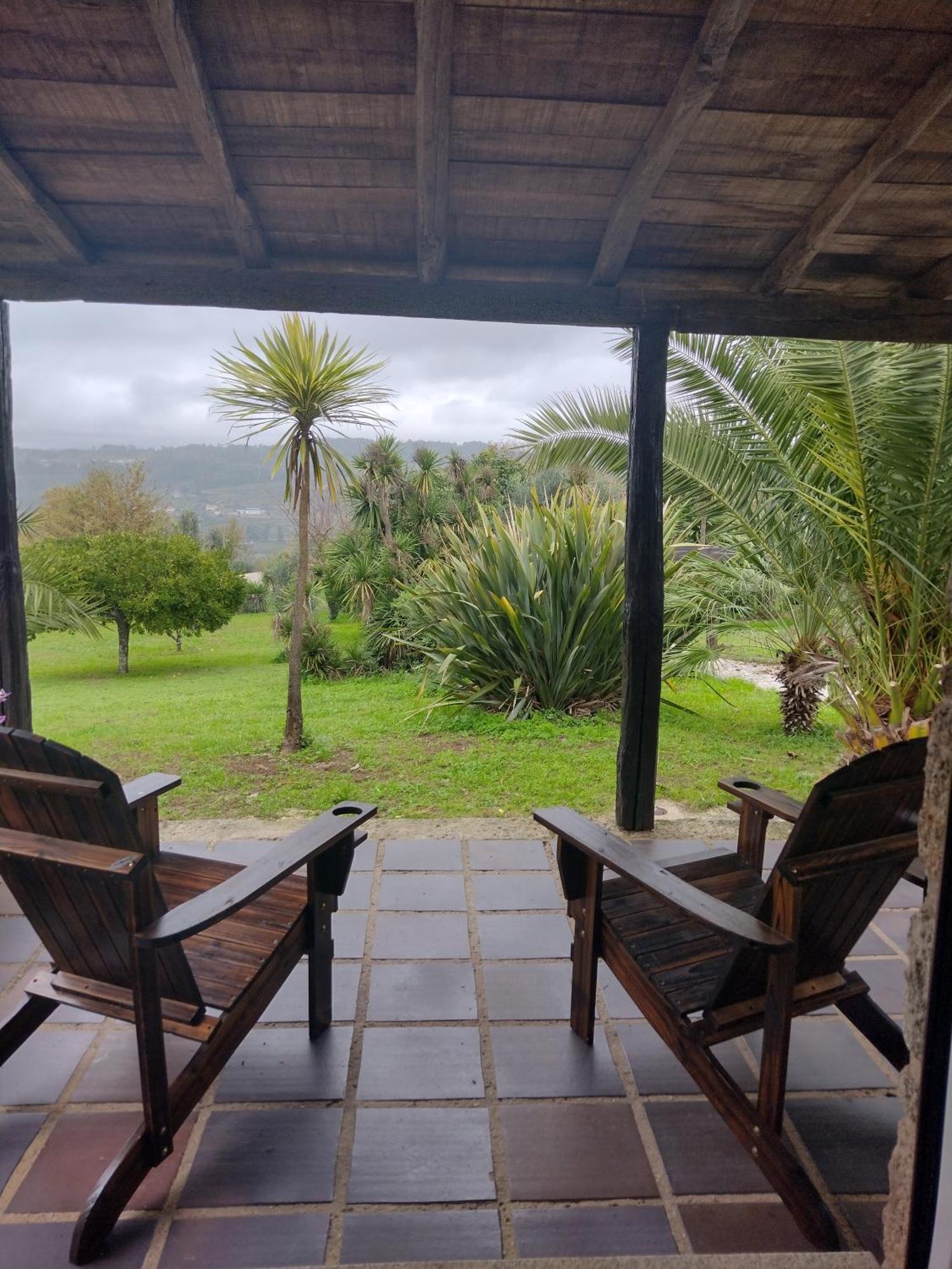 מלון ווזלה Quinta De Mocamedes - Turismo De Habitacao מראה חיצוני תמונה