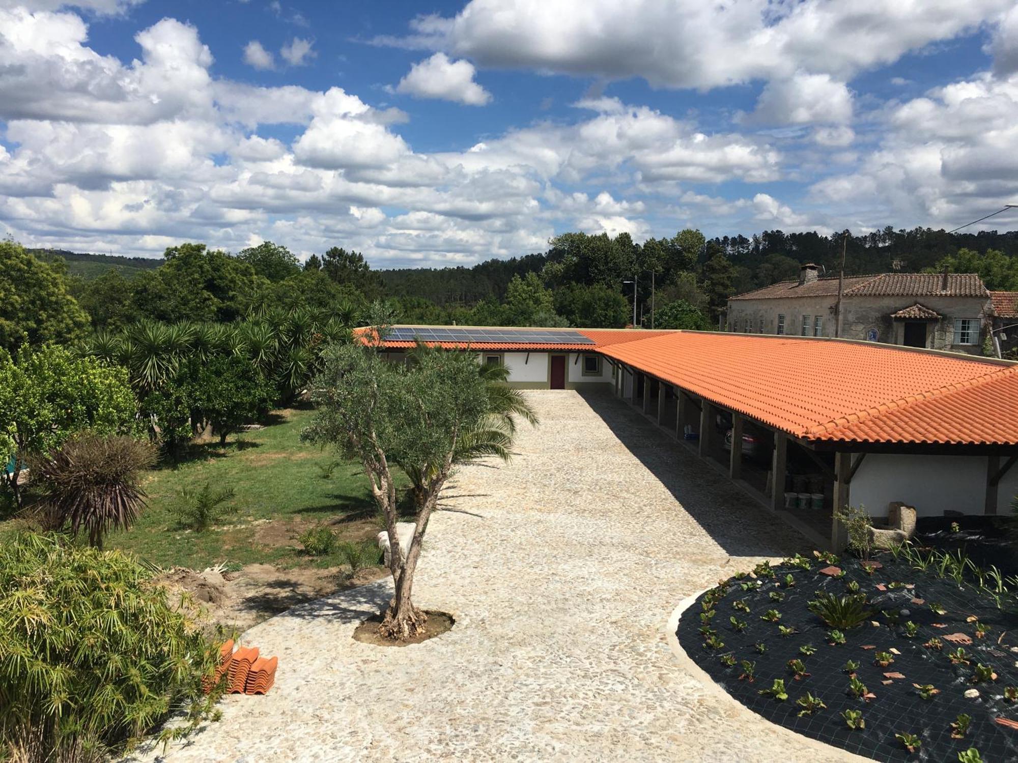 מלון ווזלה Quinta De Mocamedes - Turismo De Habitacao מראה חיצוני תמונה