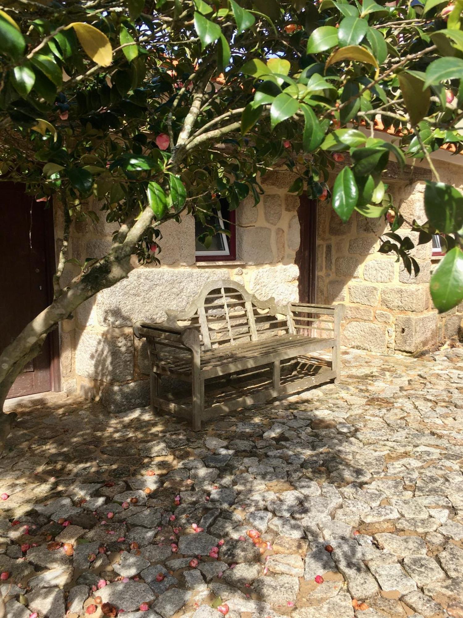 מלון ווזלה Quinta De Mocamedes - Turismo De Habitacao מראה חיצוני תמונה