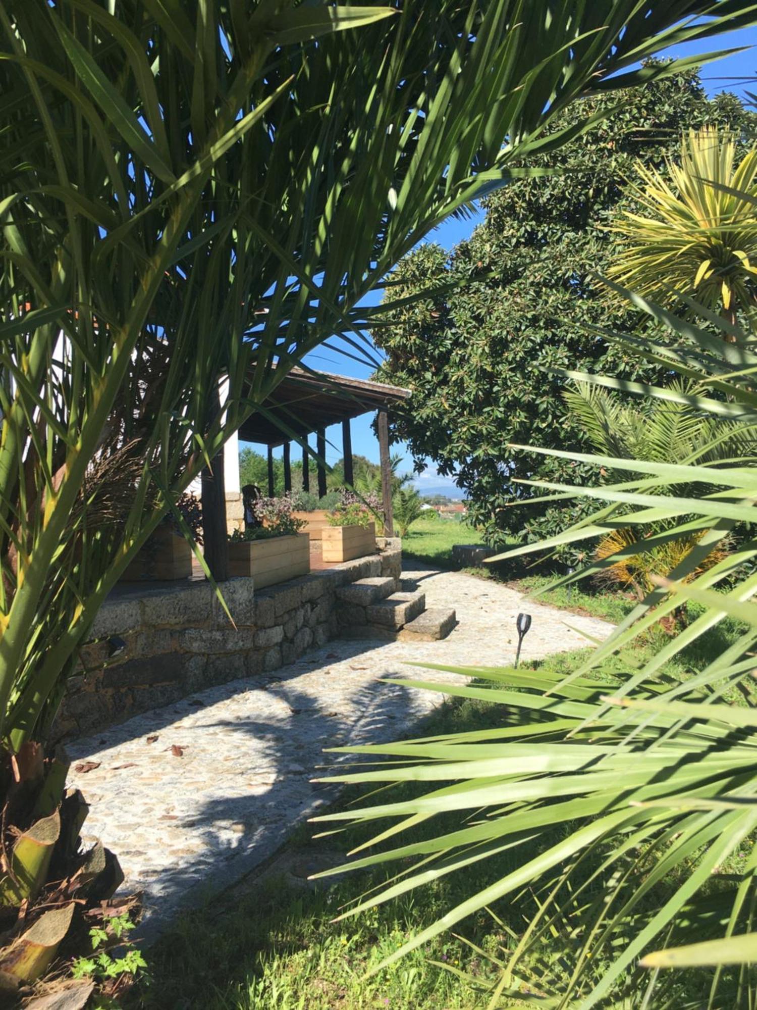 מלון ווזלה Quinta De Mocamedes - Turismo De Habitacao מראה חיצוני תמונה