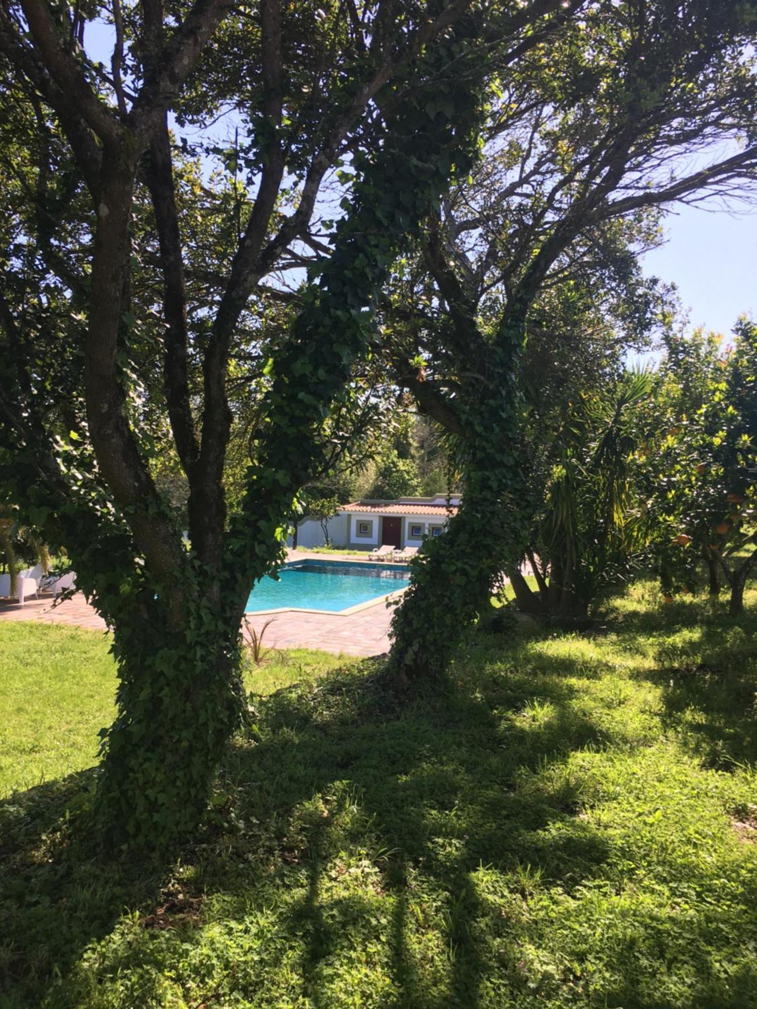 מלון ווזלה Quinta De Mocamedes - Turismo De Habitacao מראה חיצוני תמונה