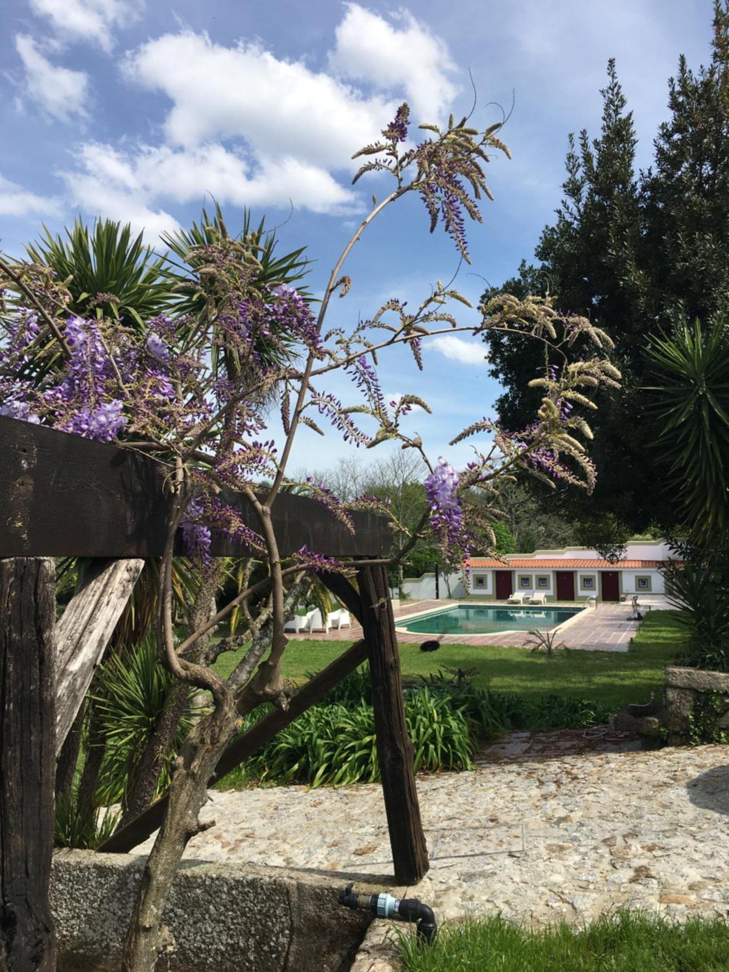 מלון ווזלה Quinta De Mocamedes - Turismo De Habitacao מראה חיצוני תמונה